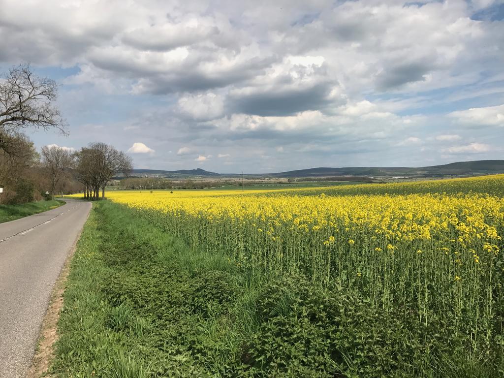 Káli Kerted Vendégházak Monoszló Lidi néni háza Extérieur photo